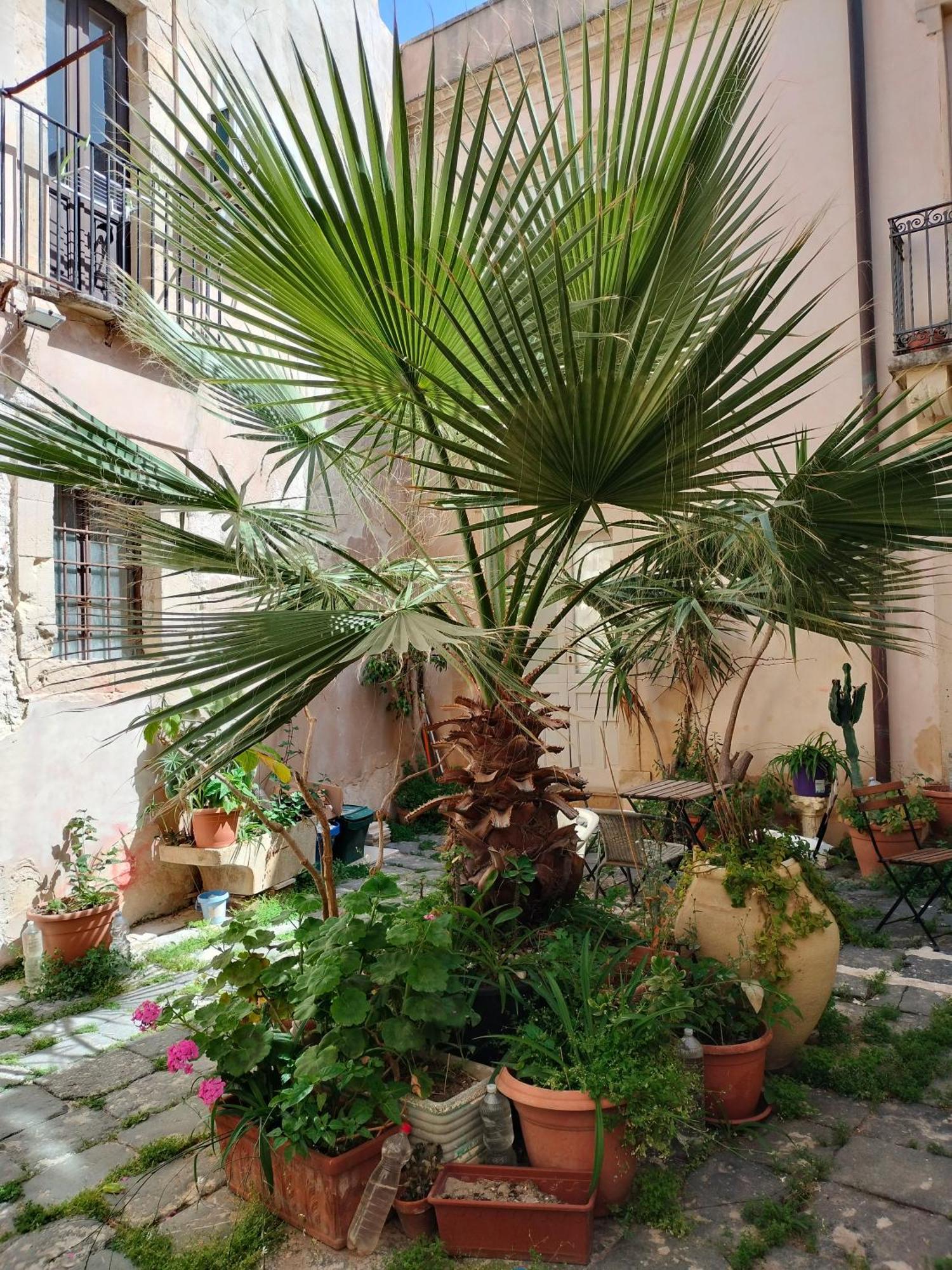 Casa La Palma Di Ortigia Apartment Syracuse Luaran gambar